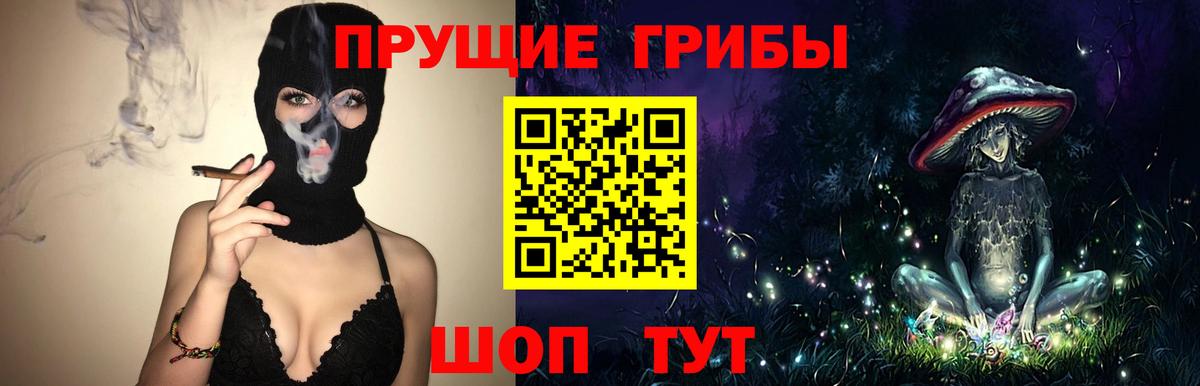 Псилоцибиновые грибы мицелий Искитим